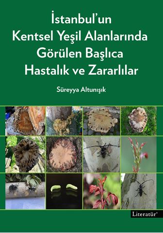 İstanbul’un Kentsel Yeşil Alanlarında Görülen Başlıca Hastalık ve Zararlılar için detaylar